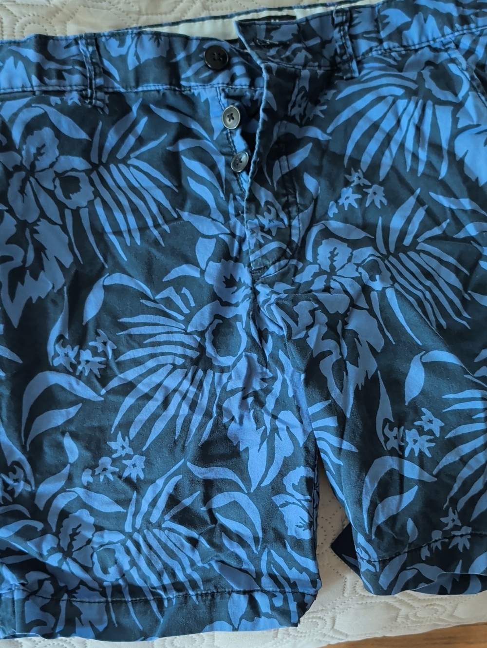 H&M Black and Blue Tropical Print Men's Shorts